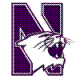 northwestern